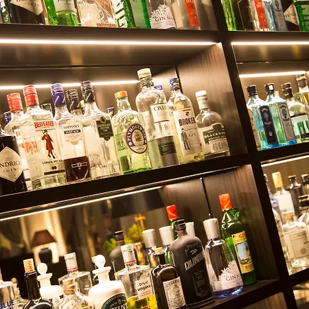 ベルビュー パレス 5* ベルン